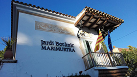 апартаменты в бланесе, коста брава